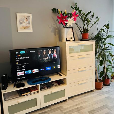 Onyx Apartment With Free Private Garage + Ac ブダペスト エクステリア 写真