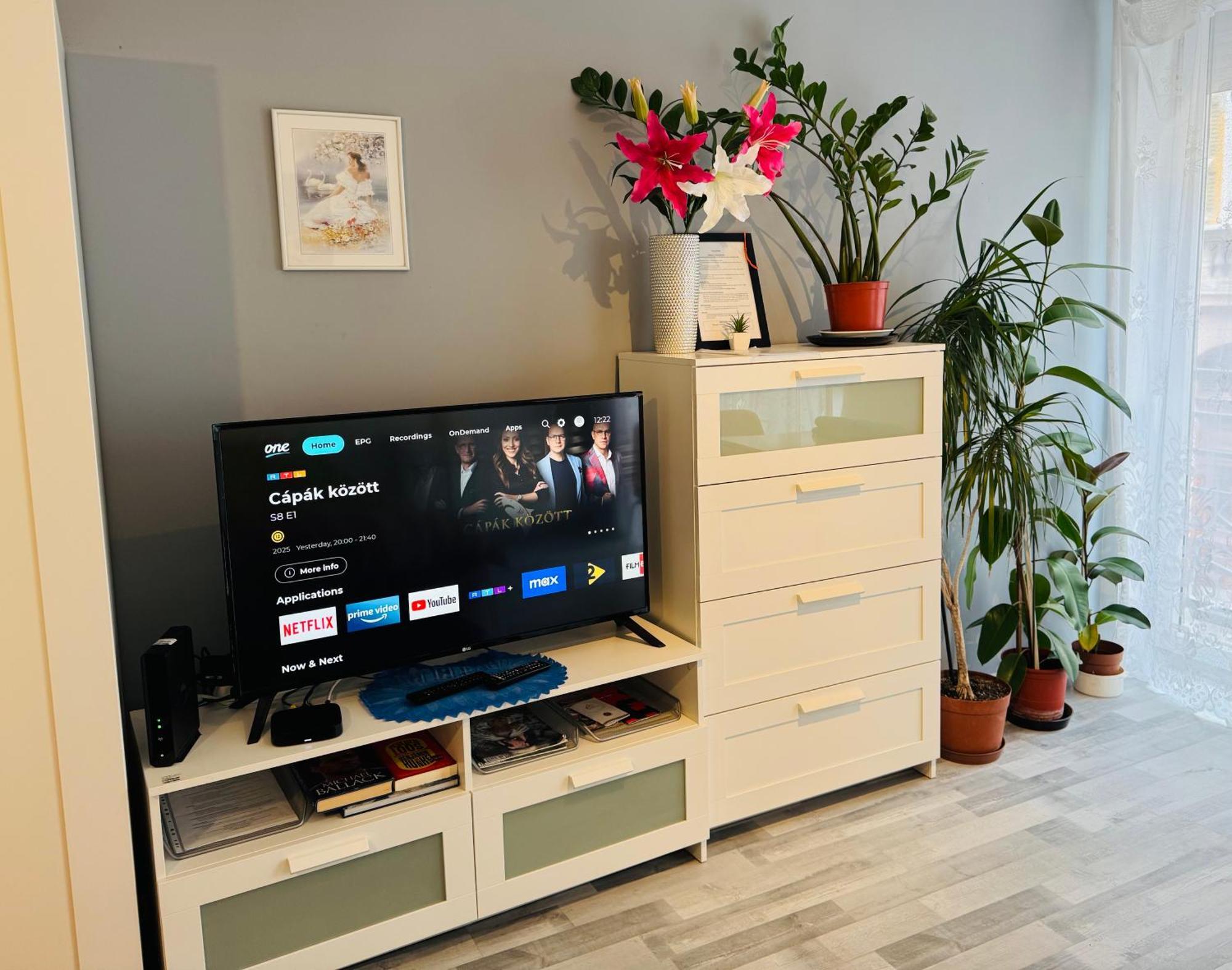 Onyx Apartment With Free Private Garage + Ac ブダペスト エクステリア 写真